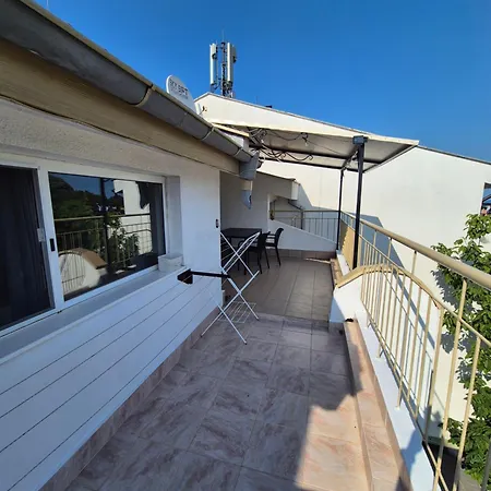 за гости роси * Sinemoretz