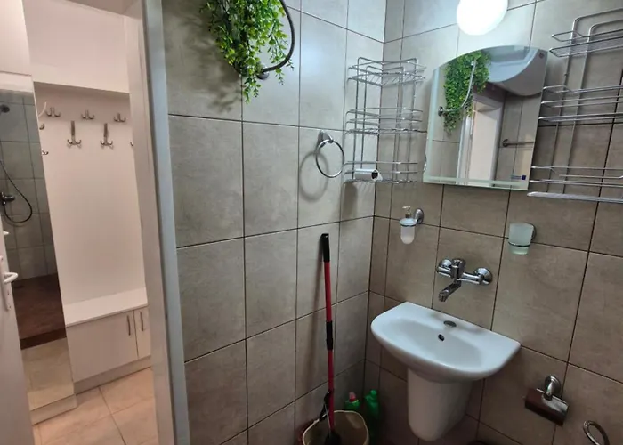 за гости роси *