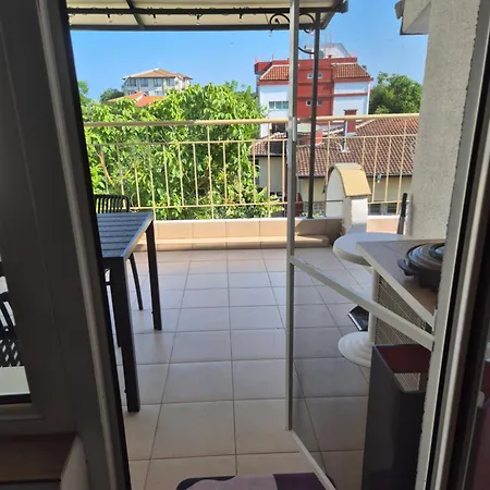 за гости роси Sinemoretz