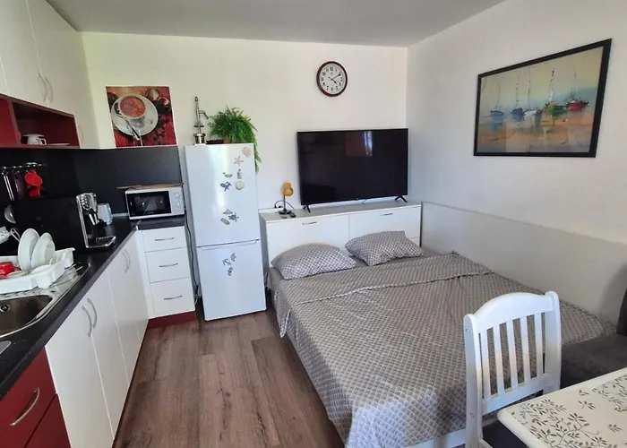 Apartman за гости роси *