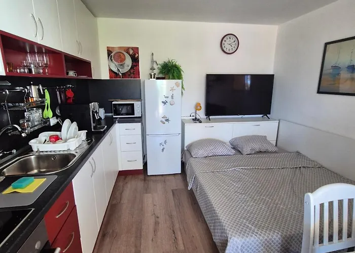 за гости роси *